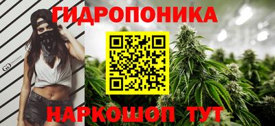 2c-b Заводоуковск